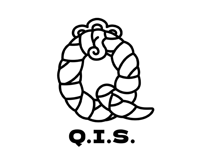 Q.I.S.
